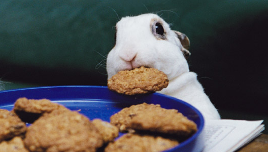Cookie thief