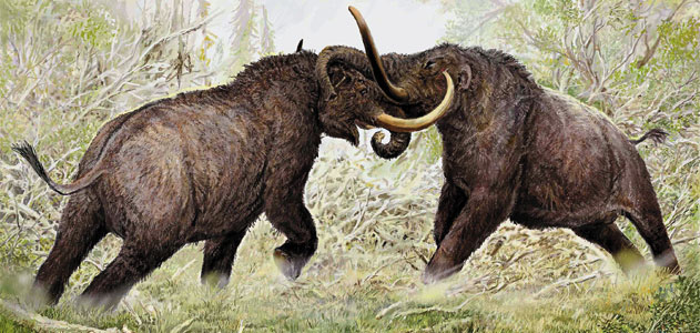 Mammoths